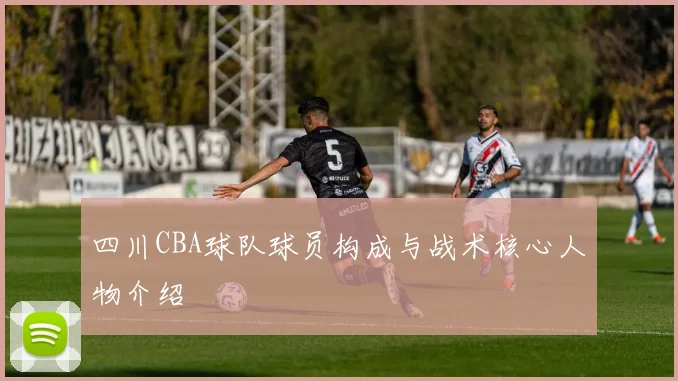 四川CBA球队球员构成与战术核心人物介绍