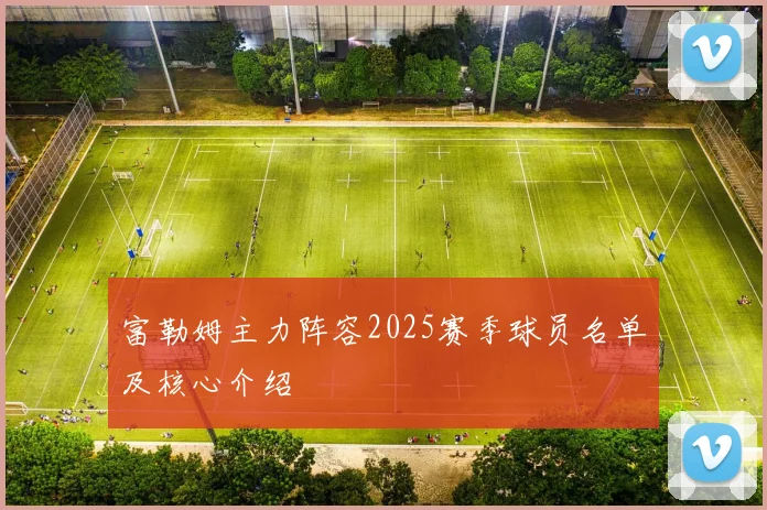 富勒姆主力阵容2025赛季球员名单及核心介绍