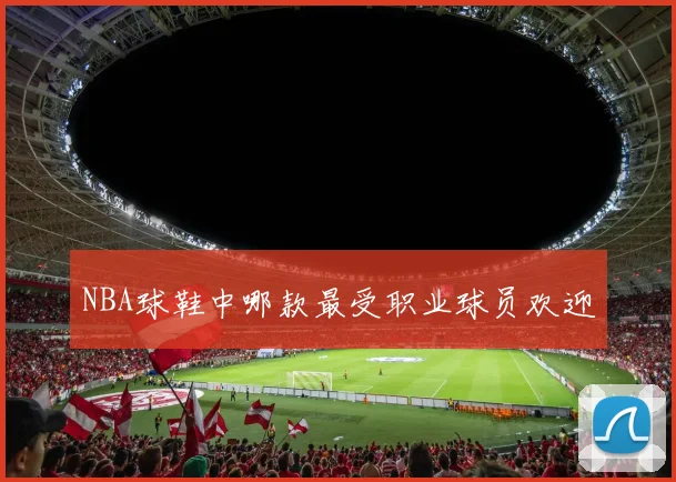 NBA球鞋中哪款最受职业球员欢迎