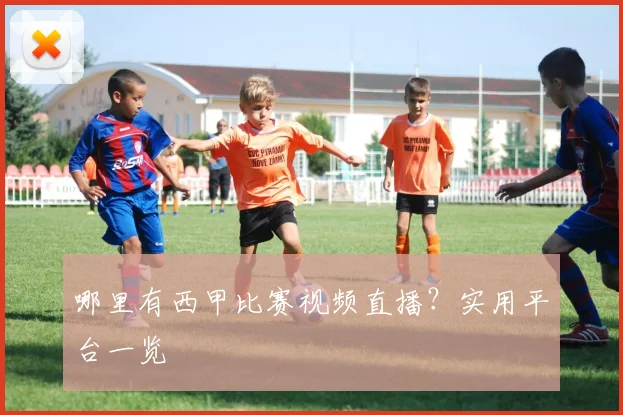 哪里有西甲比赛视频直播？实用平台一览