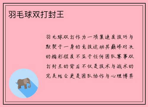 羽毛球双打封王