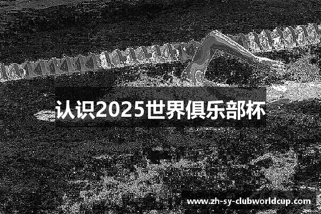 认识2025世界俱乐部杯